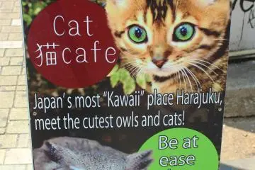 Store sign outside of shop