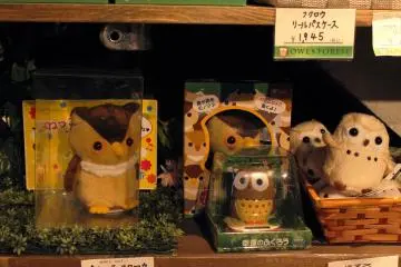 Souvenirs 