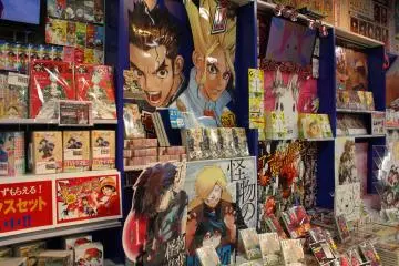 Carefully set up display 