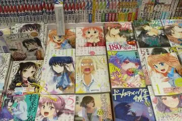 Manga carefully stacked up