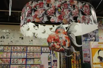 Gallery image