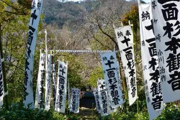 Lots of banners flanking the approach