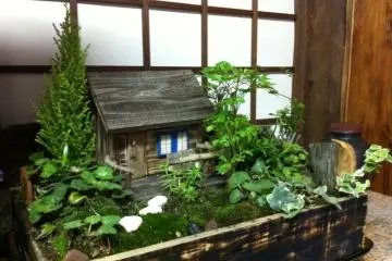 A handmade house and garden