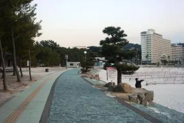 시라하마 해변의 해변 산책로