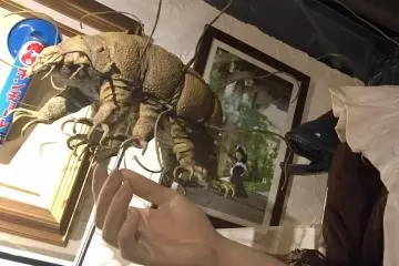 Smaller tardigrade sculpture