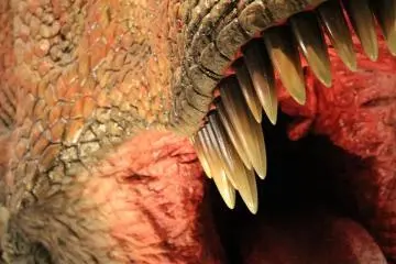 Garrrgh! Gorrrgh!