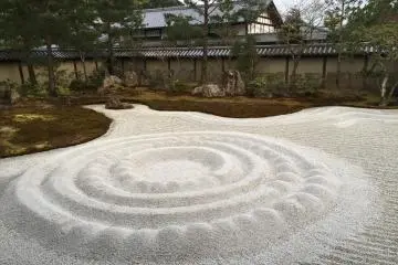 Autre vue du jardin sec
