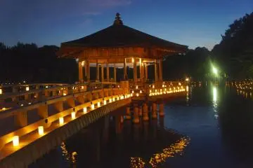 Travel back in history while attending this beautiful illumination