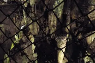Nippara Shonyudo - stalactites protected from human touch