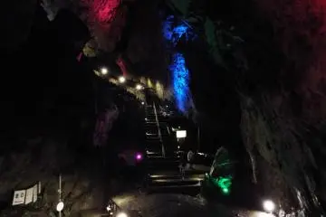 Nippara Shonyudo - colorful chamber