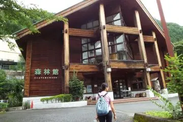 Forest Museum