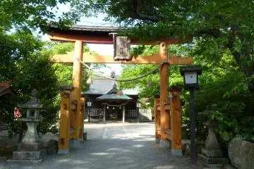 Gallery image