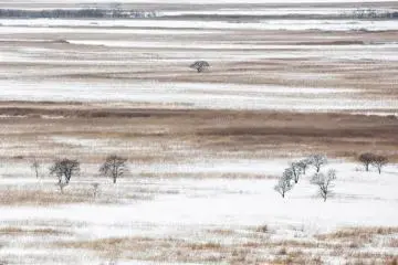 Kushiro marshland from above