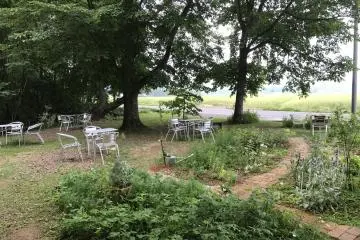 Le jardin à l'extérieur du café principal