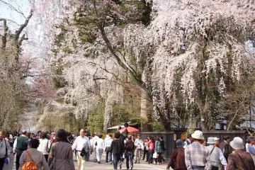 Distrito Kakunodate de Samurai