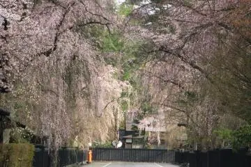 Distrito Kakunodate de Samurai