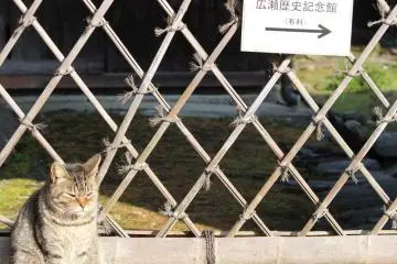 The Hirose Residence in Niihama