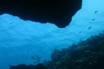 In shallower depths you can find a few rocks and sit in between, looking up