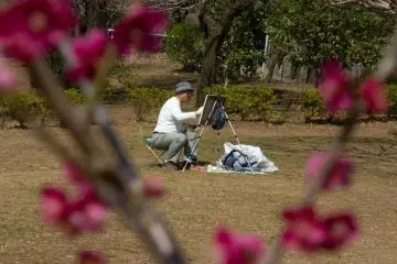 그림그리는 꽃들; 몇몇 지역 화가들이 계절의 시작을 잡기 위해 이곳에 온다
