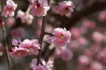 각각의 꽃들을 자세히 살펴봐, 발견할 수 있는 아주 많은 것들이 있어