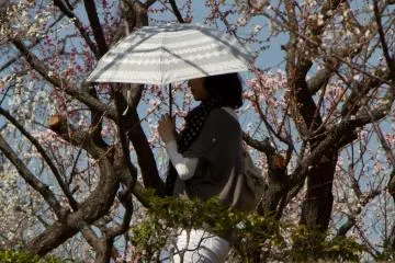 내가 그곳에 갔을 때는 너무 따뜻해서, 사람들은 태양으로부터 자신을 보호하기 위해 양산을 꺼내곤 했다