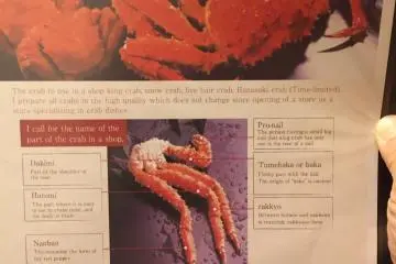 Un menu pédagogue et instructeur