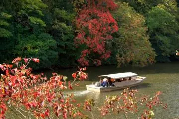 <p>ล่องเรือชมโฮริคาว่า</p>