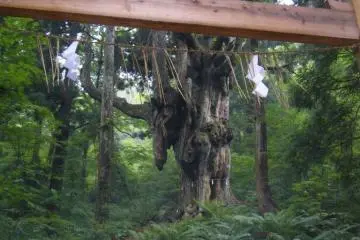 <p>อุทยานธรณีเกาะโอกิ</p>