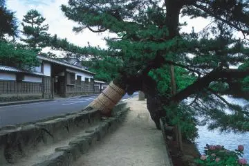 Samurai residences in Matsue city