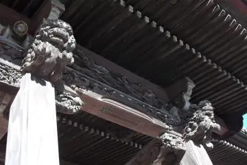 Lions in the eaves