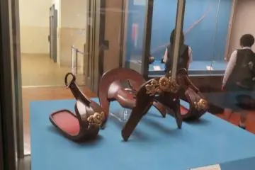 Saddle and Stirrups