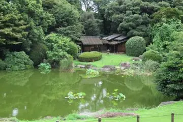 Museum Gardens and Tea House