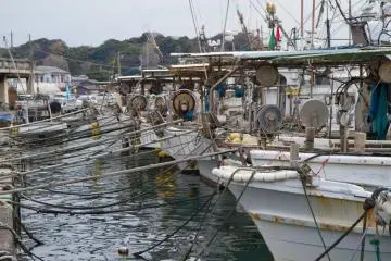 Kapal penangkap ikan di pelabuhan, tepat di sebelah kakigoya