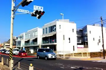 bills, front view