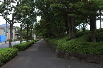 Area sekitar