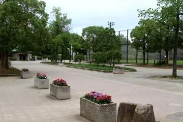 Lapangan bisbol