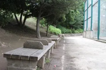 Bangku di seberang lapangan bisbol