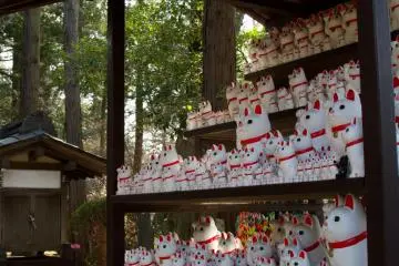 <p>Ratusan patung kucing dari berbagai ukuran berbaris di satu area</p>