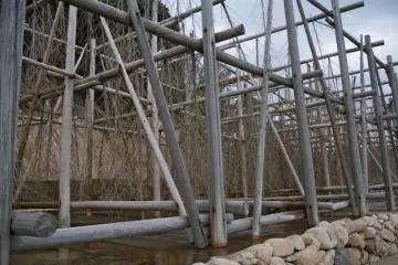 <p>Ici, l'eau de mer est pomp&eacute;e vers le haut et descend le long des branches que le vent s&egrave;che, concentrant ainsi le sel</p>
