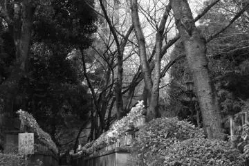 Tokyo Tower watches over the temple