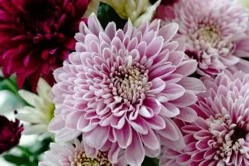 Cultivating Beauty and Love