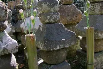 Bamboo has many uses in Japan