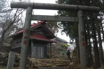 Gallery image