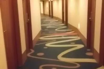 <p>The guest floors have soothing decor</p>