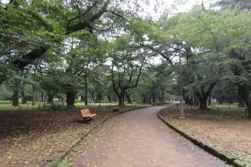 Omiya Park