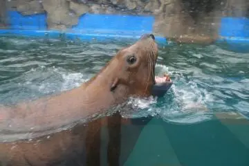 Up close and personal!