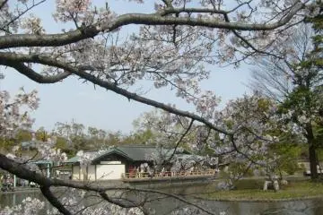 내 안에 아티스트는 꽃의 클로즈업 사진을 카메라에 담는걸 좋아한다.