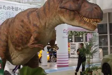 Khu trưng bày MEGA WEB Toyota