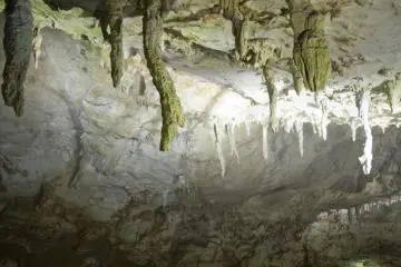 <p>Des stalactites vertes et blanches</p>
