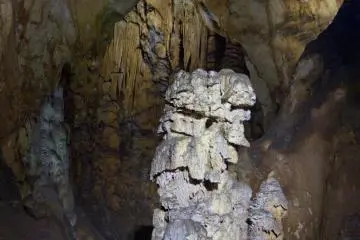 <p>Le Roi de la grotte pourrait s'adresser &agrave; vous, si vous &eacute;coutez attentivement</p>

